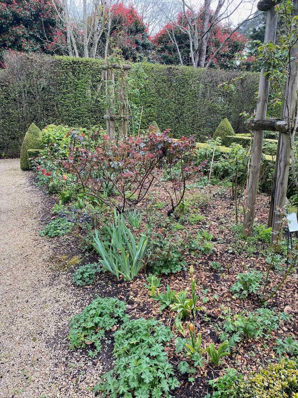 Red Cow Farm Garden Image -632f7ebddb37d